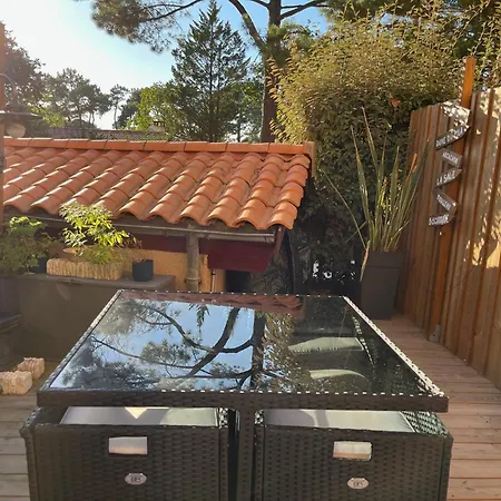 Pyla Sur - Terrasse Sous Les Pins - 200m De La Lägenhet La Teste-de-Buch